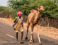 Pushkar Camel Fair, India,
